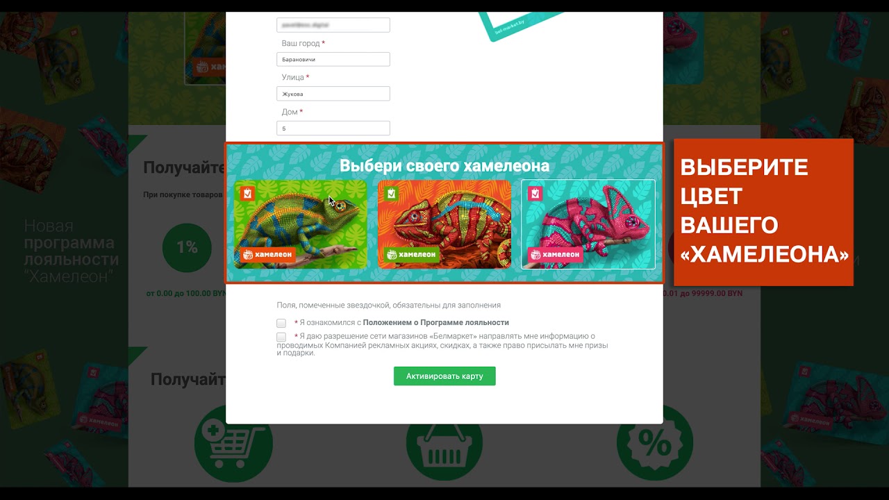 Карта хамелеон белмаркет личный кабинет войти кабинет