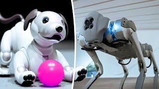 BEST SMART ROBOT DOGS 2024  DON'T CHOOSE WRONG!