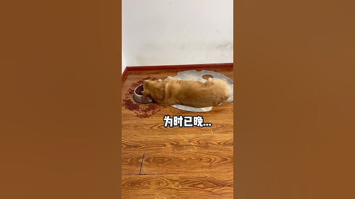 对不起 我以为以后没得狗喂了....#萌宠出道计划   #万物可爱计划  #宅家治愈记