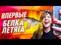 ВПЕРВЫЕ: БЕЛКИ ЛЕТЯГИ ЛЕТАЮТ ПО КОМНАТЕ