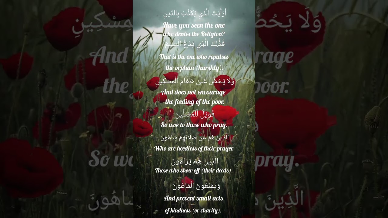 ,❤️The connection between the faith and action ❤️✨