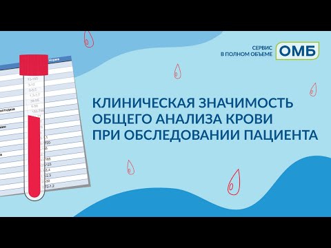 Видео: Анализ крови: что это значит и зачем он нужен вашему питомцу (Часть 2: Химический анализ крови)