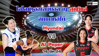 ไฮไลท์วอลเลย์บอล ญ สุดมันส์ ลีกเกาหลี Hyundai vs AI Pepers  16 มีค 24