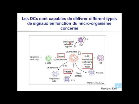 immunité antivirale partie 2