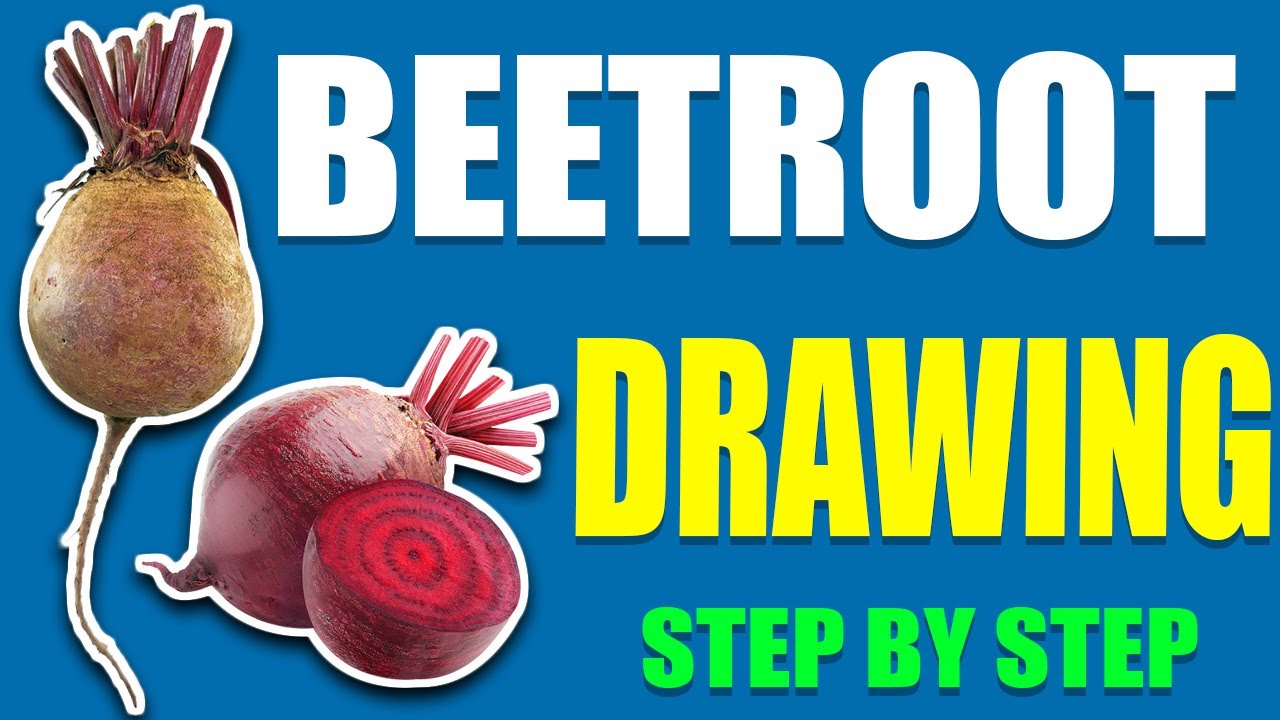 BEETROOT DRAWING STEP BY STEP Beetroot drawing colour Beetroot ki