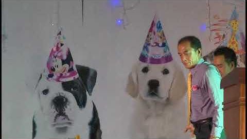 Tất niên công ty Việt Á Châu và Lực Quán năm 2017 Tập 02