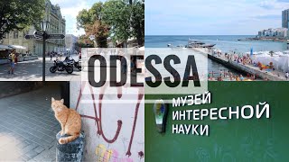 ВЛОГ: Одесса - первое впечатление. Один день на море 😭🍹. Ladydg87Ukr