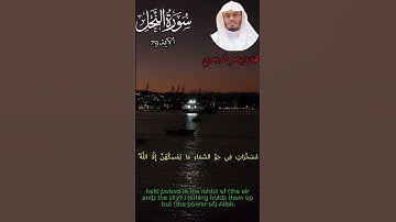 ما تيسر من سورة النحل | تلاوة خاشعة تبكي العيون وتوقظ القلوب – ياسر الدوسري 😢🕊