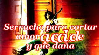 Andres Cepeda  - El Carpintero del Amor LETRA chords