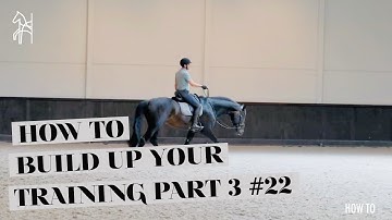 HOW TO build up YOUR TRAINING COOLING DOWN Part 3-3 | Dressage Tutorial | Begijnhoeve | How To #22