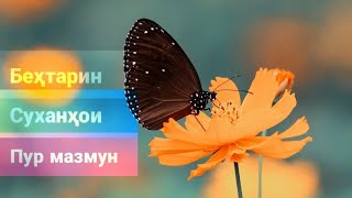 Беҳтарин суханҳои пур мазмун ва суханҳои тарбияви #1