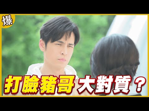 《黃金爆爆爆》黃金歲月 EP4 打臉豬哥 大對質？