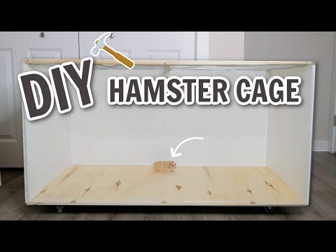 Video: 3 Mga paraan upang Gumawa ng isang Hamster Cage mula sa isang Plastic Basket
