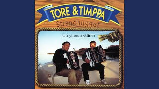 Video thumbnail of "Tore & Timppa - Trollebyshottis"