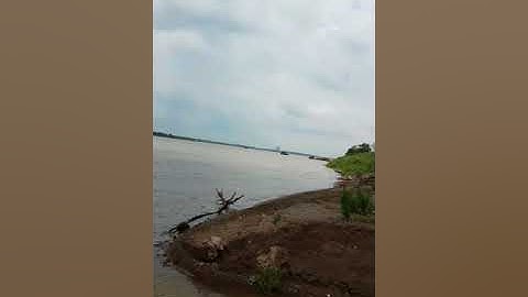 Câu cá sông hồng cầu nhật tân