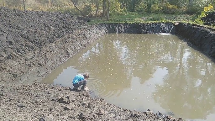 Выбор места и подготовка почвы