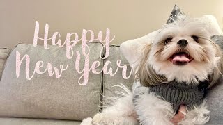 Goodbye 2021... Hello 2022 | Chase the Shih Tzu's 2021 Memories by Chase the Shih Tzu 3,636 views 2 years ago 6 minutes, 21 seconds