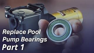 How To: Replace the Bearings in a Pool Pump Motor  Part I