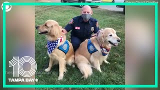 Comfort dogs support California firefighters