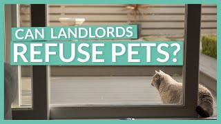Can Landlords Refuse Pets | Renting with Pets