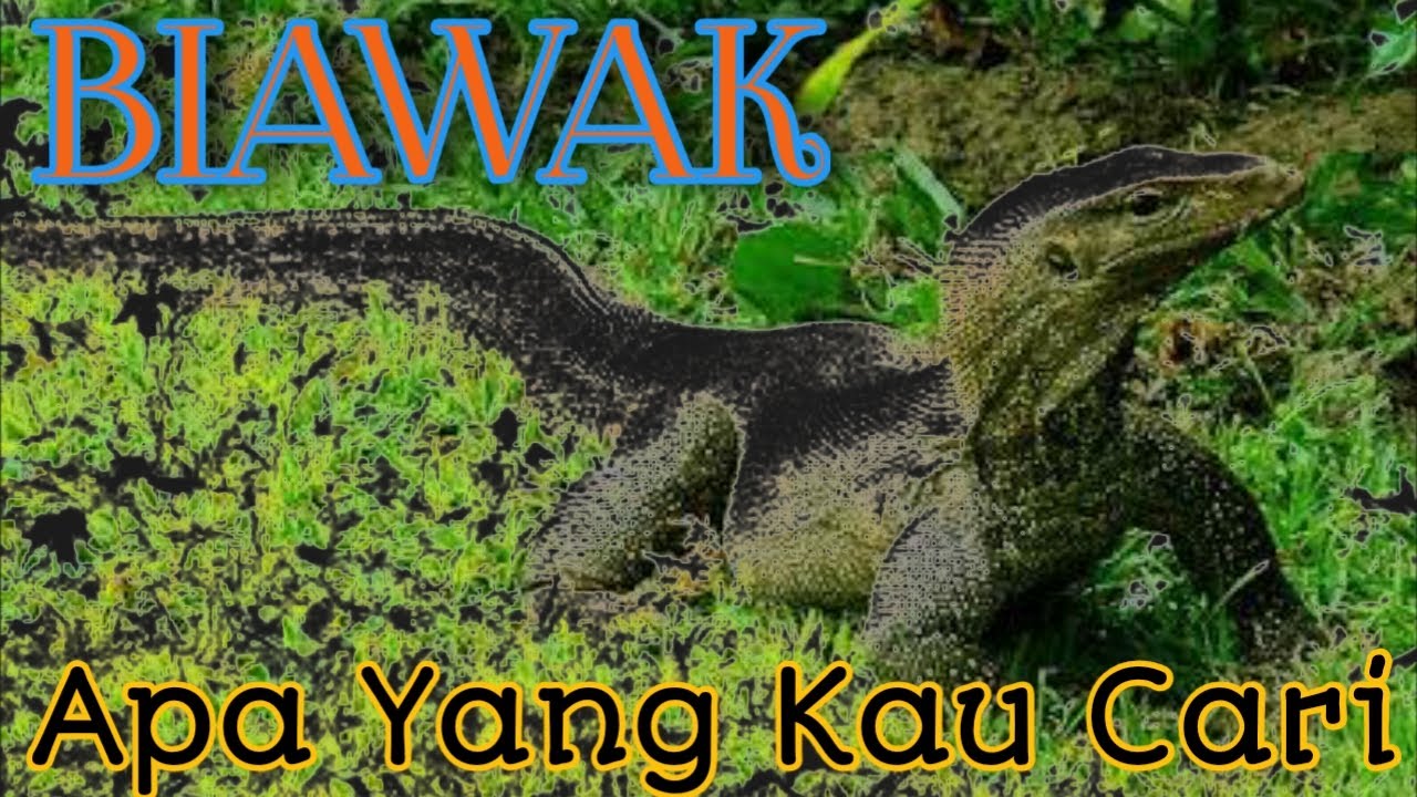 Biawak Masuk RumahLucunya YouTube Biawak Masuk RumahLucunya YouTube