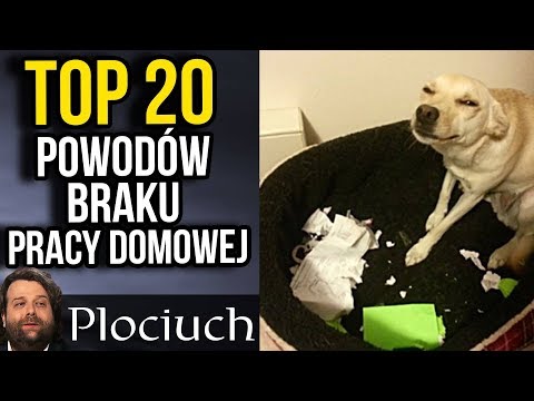 TOP 20 Absurdalne Wymówki i Powody Braku Pracy Domowej - Plociuch #579