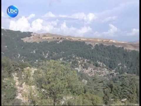   لجنة محمية ارز تنورين ترفع الصوت ضد مرملة