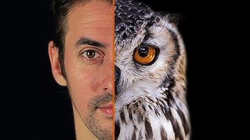 Why Do I Have Useless Body Parts?!