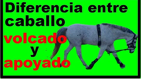 ¿Por qué mi caballo me da la espalda?