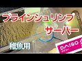 【ブラインシュリンプ】材料費1000円で出来る！ダイソー商品でサーバーを自作してみた！