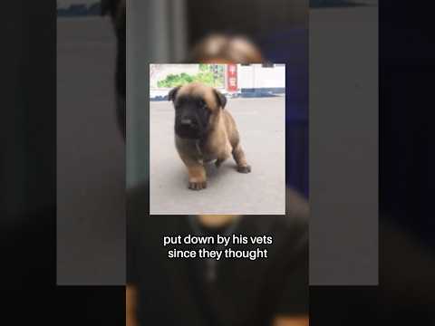 The Greatest Comeback Story Ever 🥹 #shorts