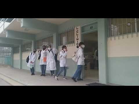 PILOTO PFLC, clases híbridas