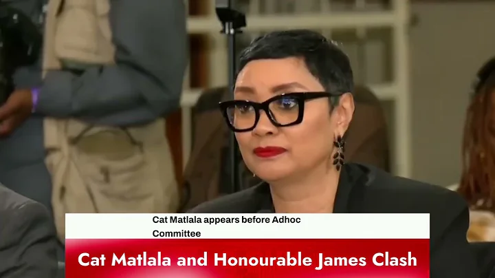 Heated Exchange. Honourable James Questions Cat Matlala. "You lied about collecting firearms."