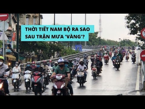 Video Sau 