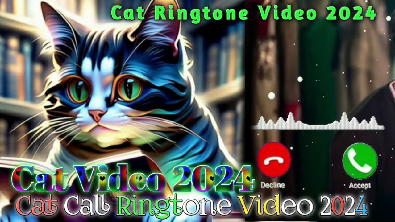 Cat Ringtone videoCat Call Ringtone videocat Video 2024Cat video