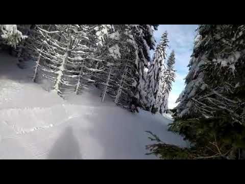 Video: Skijanje Kolorada S Pregažene Staze: 10 Mještana 