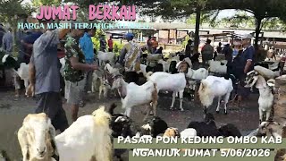 15 DAPAT 2 JANTAN ⁉️ REVIEW SEMUA KAMBING PASAR PON KEDUNGOMBO @BERPETUALANG75