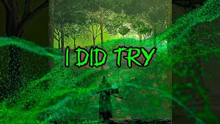 I Did Try VISUALIZER N LYRICS