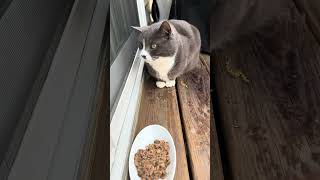 Sir Earl is fed and we touched