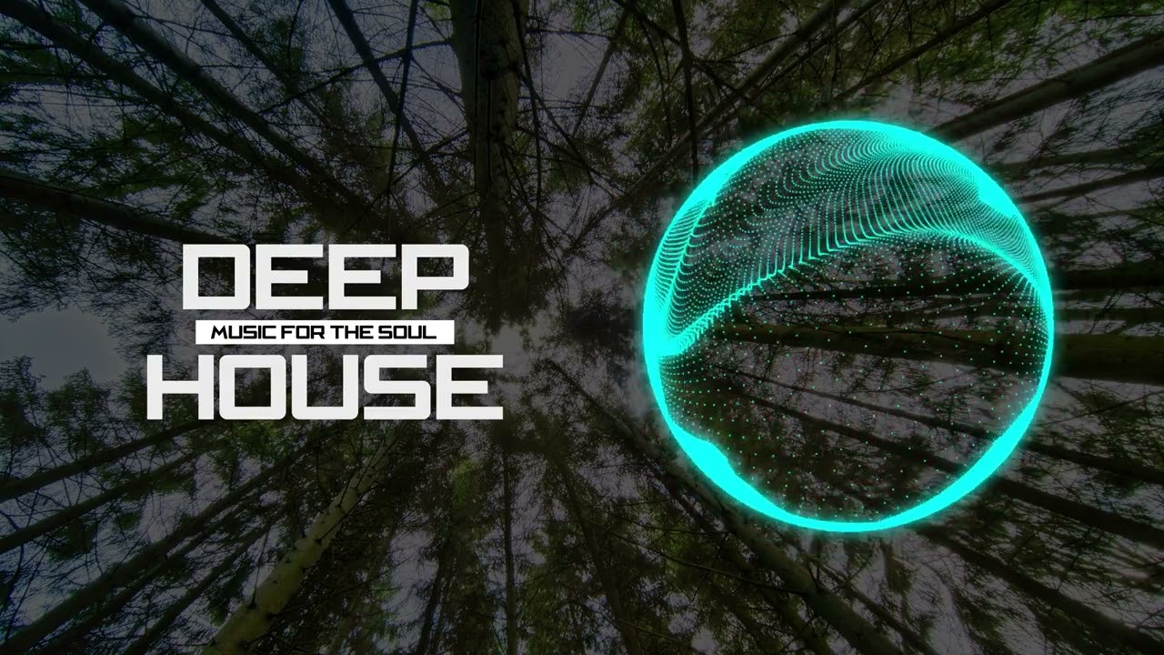 Naeleck - Burning Wish (feat. Roniit)