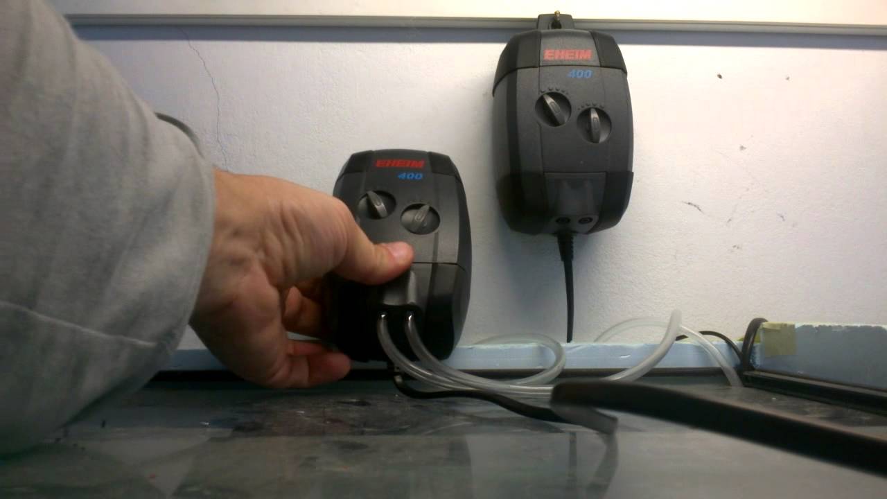 eheim 400 air pump