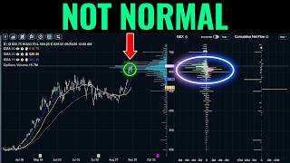 Full Traders Are Piling Into These Stocks Update