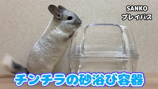 【チンチラ】新しい砂浴び容器にしたらトラブル発生⁉