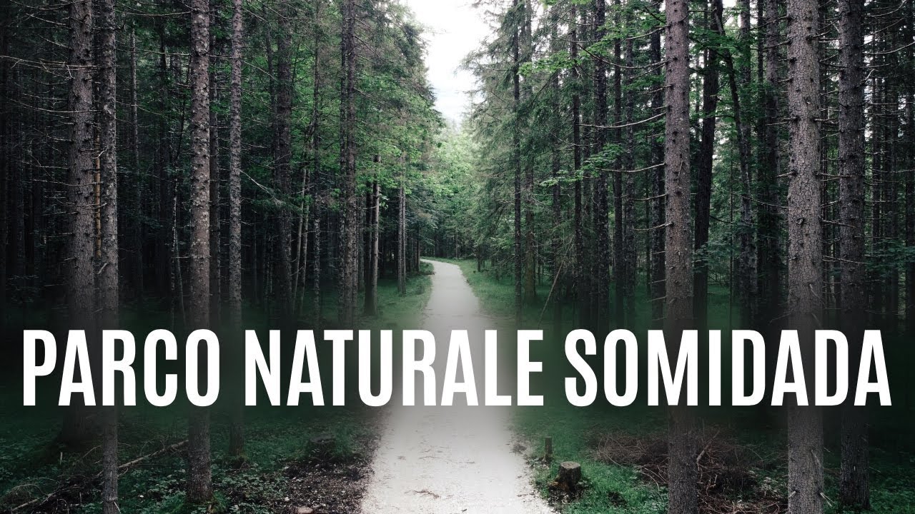 Parco Naturale Somadida - Italy - Drone 4k