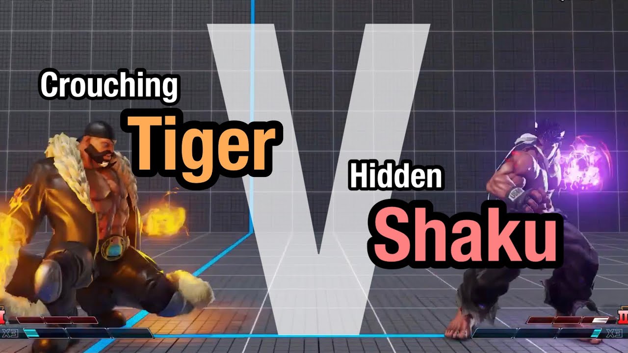 DX-Garney Kage vs Sagat