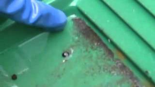 gold panning technique with square pan
