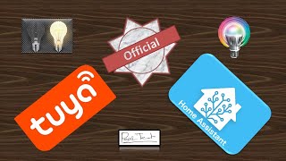 Tuya Integration with Home Assistant | Tuya v2 | IOT Project | Home Automation | Tech Pear