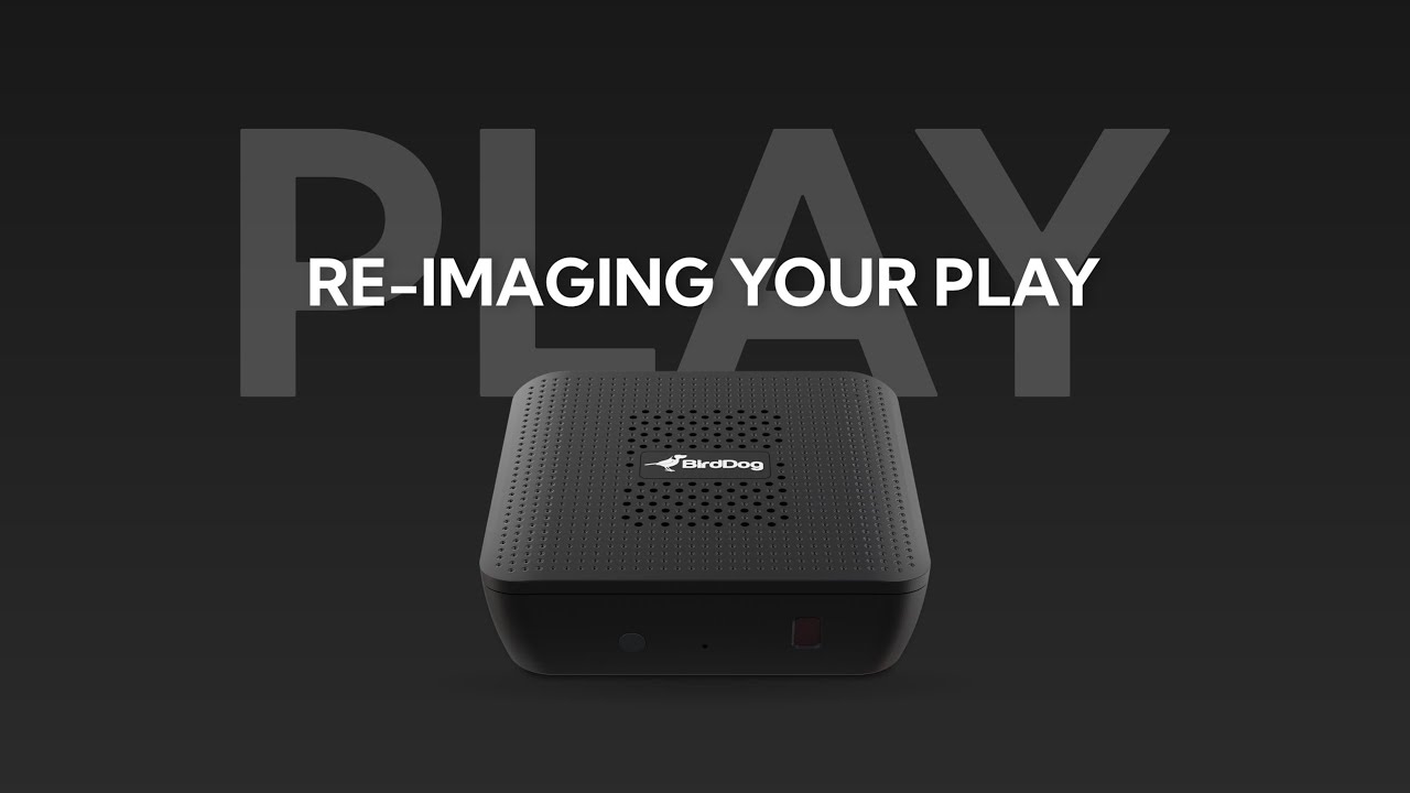 BirdDog PLAY 4K NDI Player BDPLAY B&H Photo Video 