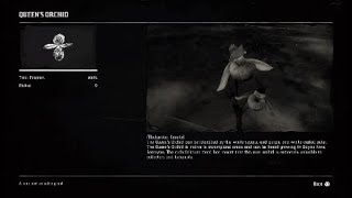 Red Dead Redemption 2 All 5 Queen s Orchids Locations