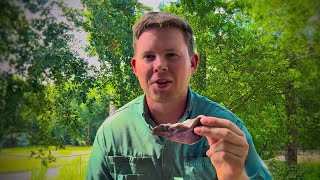 Starting Flintknapping? 15 Things I Wish I Knew Before I Started